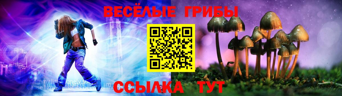 Сафоново  даркнет сайт  Галлюциногенные грибы Cubensis  Вход с VPN  Галлюциногенные грибы ЛСД 